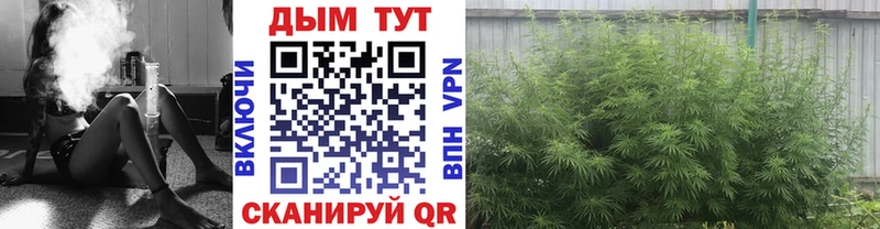 Купить наркотики цена Соль-Илецк Cocaine  Каннабис  А ПВП  ГАШ  МЕФ 