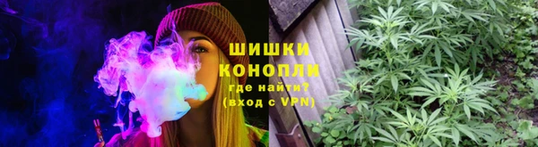 трава Балахна