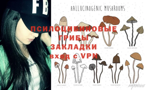 стафф Аркадак