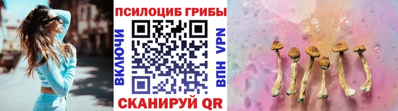 blacksprut ONION  Соль-Илецк  Галлюциногенные грибы мицелий  даркнет сайт 