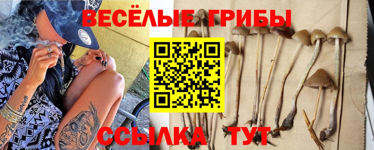 как найти наркотики  Вход с VPN  Соль-Илецк  Псилоцибиновые грибы Magic Shrooms 